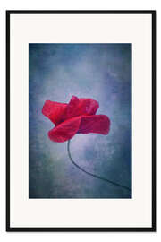 Gerahmter Kunstdruck Mohnblüte