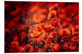 Tableau en PVC Coquelicots dans une mer rouge