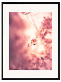 Gerahmter Kunstdruck Kirschtraum