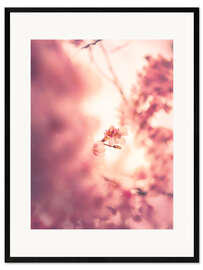 Kehystetty taidepainatus Cherry dream