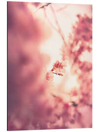 Magnettafel Kirschtraum