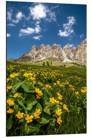 Alubild Frühling in Südtirol