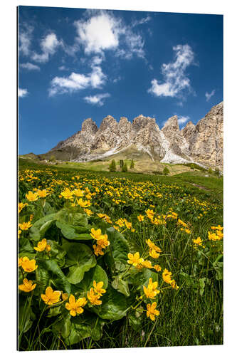 Cuadro de plexi-alu Primavera en Tirol del Sur