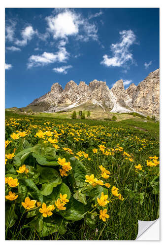 Selvklebende plakat Spring in South Tyrol