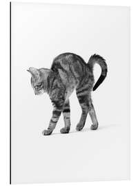 Magnettafel Katzenbuckel