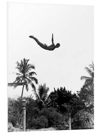 Cuadro de PVC Springboard diver over palm trees