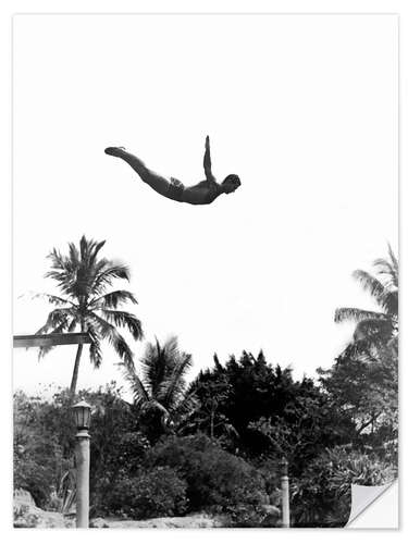 Wall sticker Springboard diver over palm trees