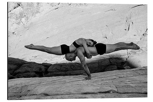 Alumiinitaulu In harmony with nature IV