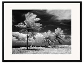 Gerahmter Kunstdruck Palmen im Sturm