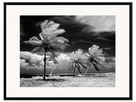 Kehystetty taidepainatus Palm trees in the storm