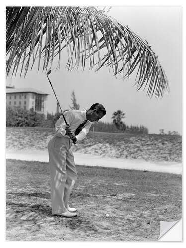 Muursticker Golfers under palm trees in Florida, 1930s