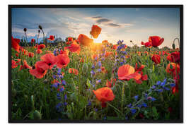 Gerahmter Kunstdruck Mohnblüten am Abend