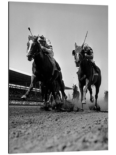 Aluminium print Head to head on the racecourse