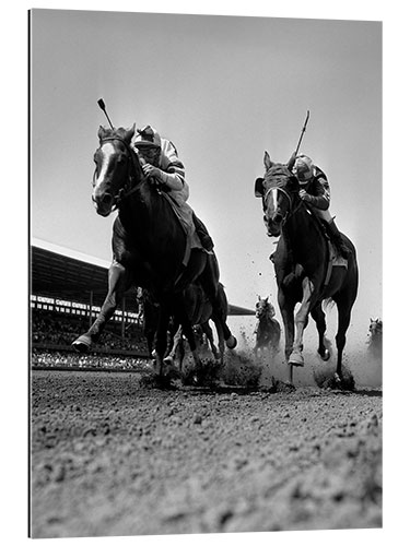 Galleritryck Head to head on the racecourse