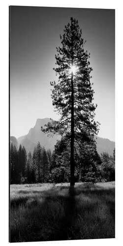 Aluminium print Wonderful sunrise in the Yosemite valley