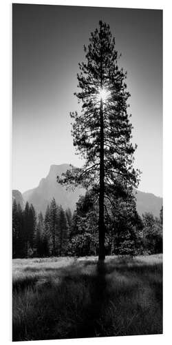 Foam board print Wonderful sunrise in the Yosemite valley