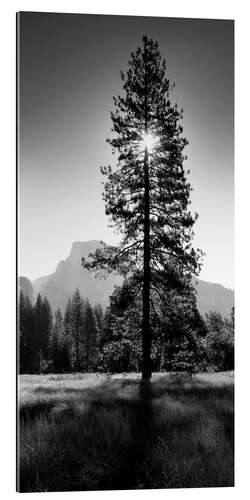 Gallery Print Wundervoller Sonnenaufgang im Yosemite-Tal