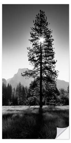 Vinilo para la pared Maravilloso amanecer en el valle de Yosemite