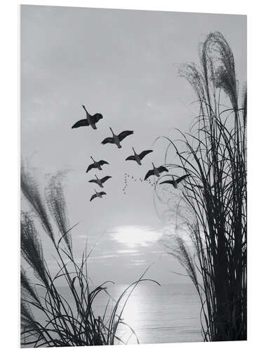 PVC print Wild geese in formation