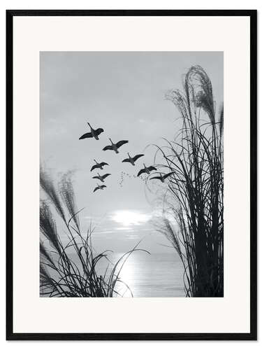 Ingelijste kunstdruk Wild geese in formation