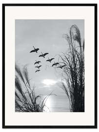 Framed art print Wild geese in formation