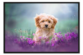 Gerahmter Kunstdruck Hündchen auf der Sommerwiese