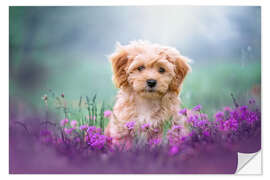 Wall sticker Puppy dog on the summer meadow