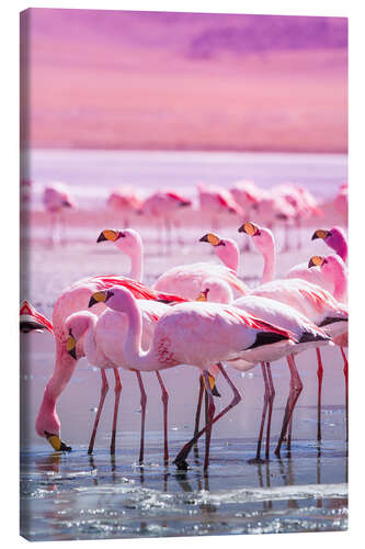 Lerretsbilde Flamingos in pink