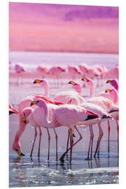 Hartschaumbild Flamingos in Pink