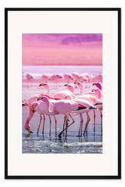 Gerahmter Kunstdruck Flamingos in Pink
