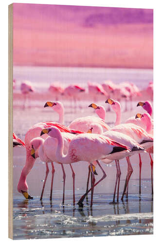 Holzbild Flamingos in Pink