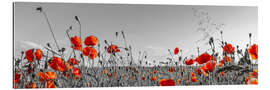 Galleriprint Idyllic poppy field