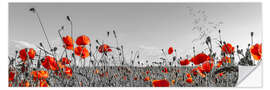 Selvklebende plakat Idyllic poppy field