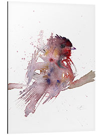 Aluminium print Abstract robin