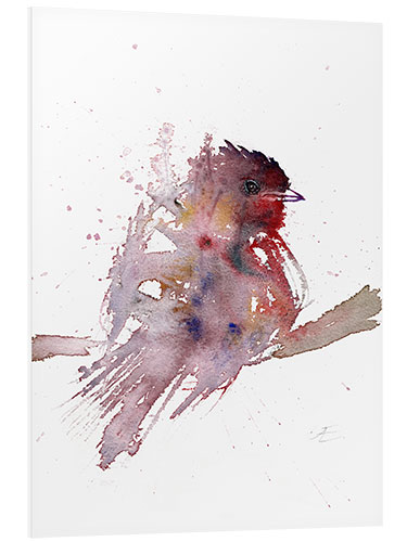 Foam board print Abstract robin