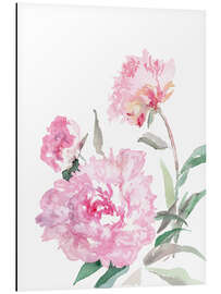 Magnettafel Pfingstrosen