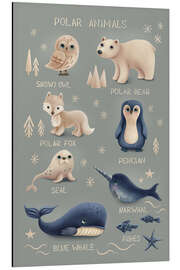 Quadro em alumínio Polar Animals