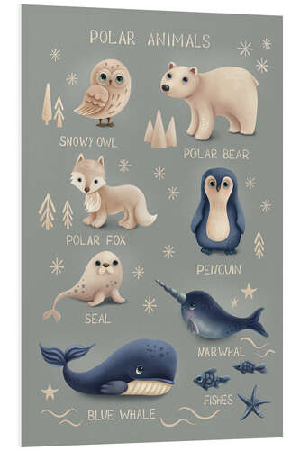 Foam board print Polar Animals