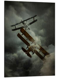 Magnettafel Flug im Regen