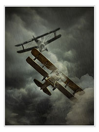 Billede  Flight in the rain - Jaroslaw Blaminsky
