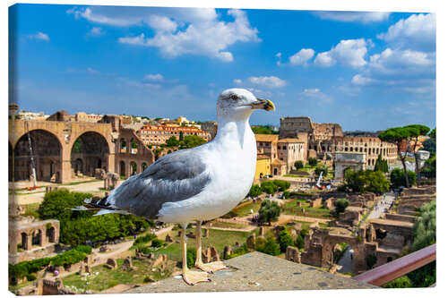 Leinwandbild Möwe am Forum Romanum, Rom