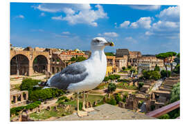 Foam board print Seagull at the Roman Forum, Rome