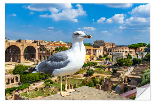 Selvklebende plakat Seagull at the Roman Forum, Rome