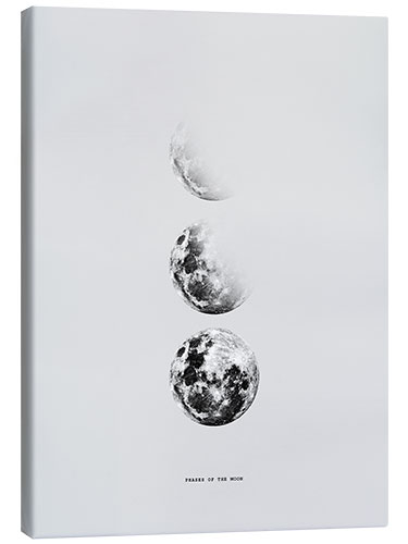 Canvas print Moon phases