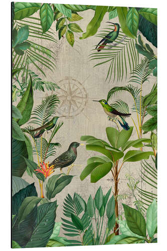 Print på aluminium Tropical Journey Of Birds