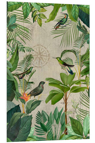 Foam board print Tropical Journey Of Birds