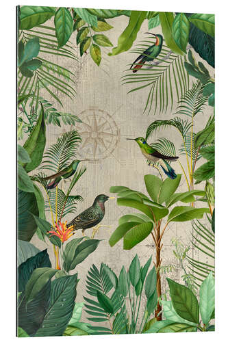 Gallery print Tropical Journey Of Birds