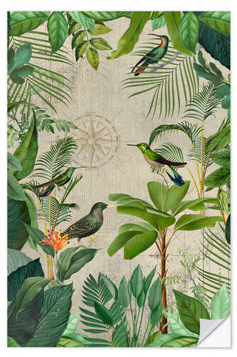 Sticker mural Voyage tropical des oiseaux