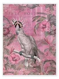 Plakat Różowa kakadu