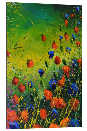 Tableau en plexi-alu Coquelicots rouges et bleus